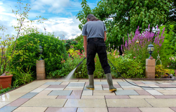 Best Animal Enclosure Cleaning  in Warrensburg, MO